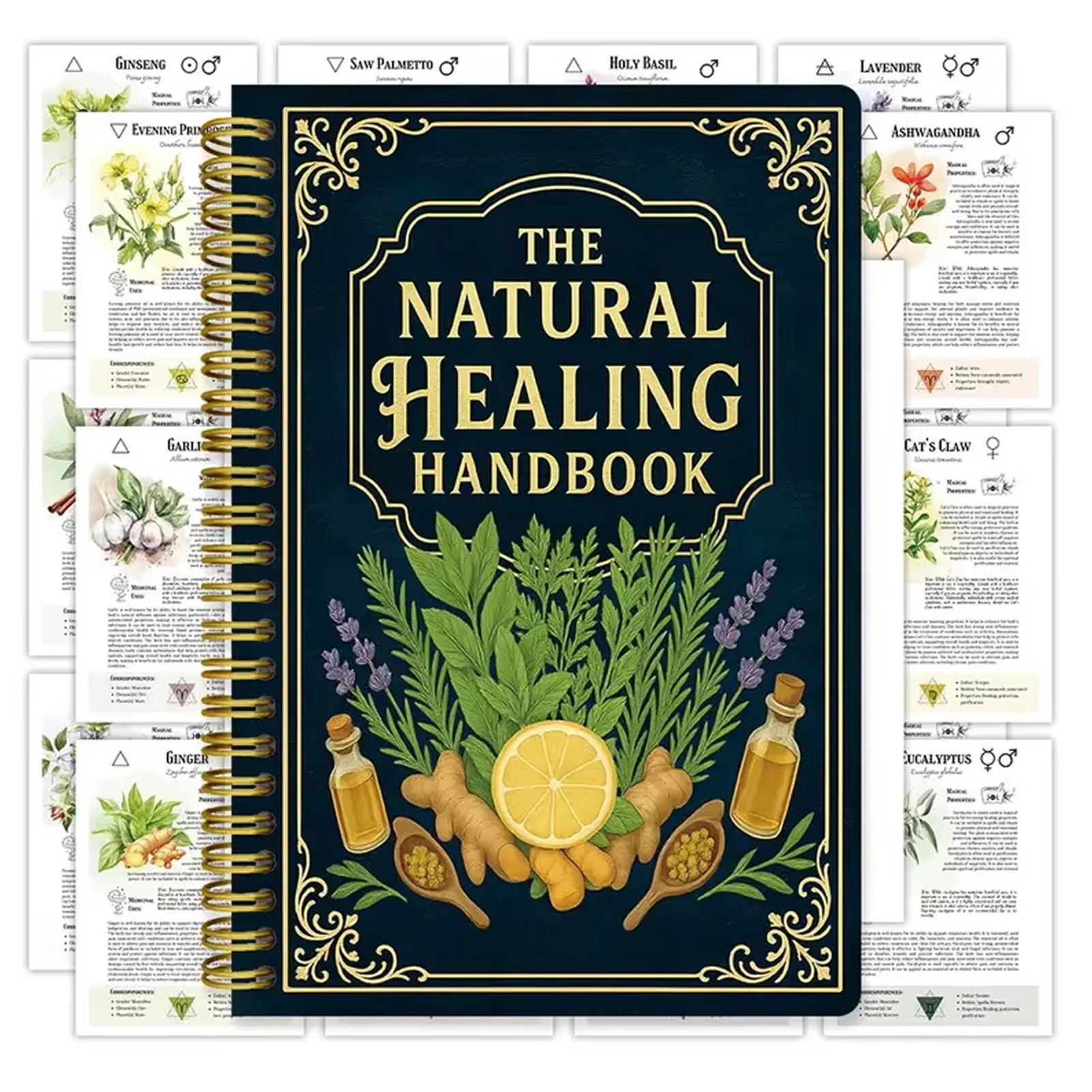 Health & Wellness Expo - Healing Handbook By Luna Filby English