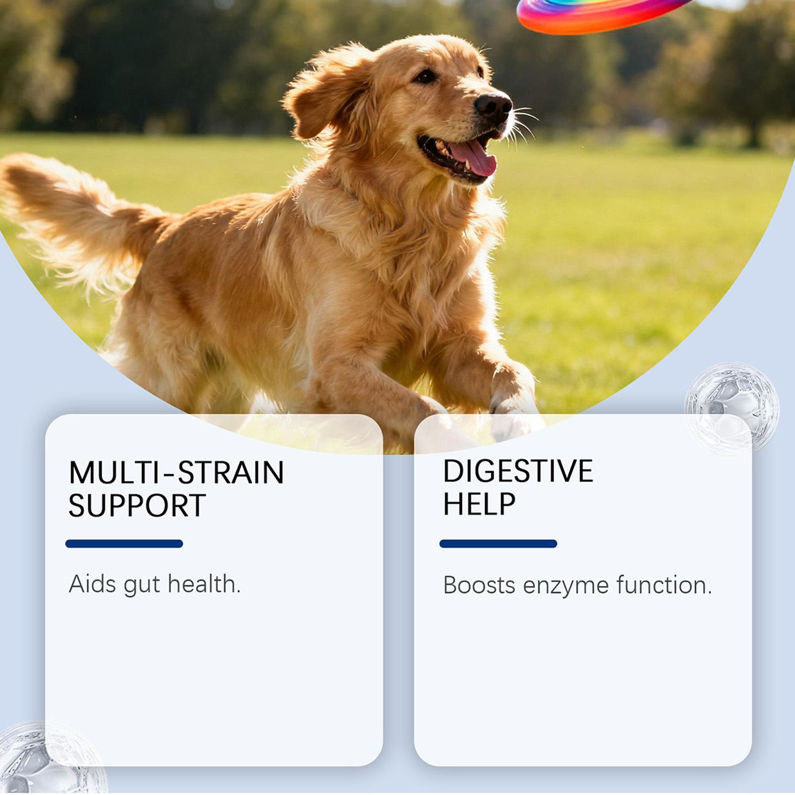 Dog Wellness Bites Healthy Nat - Health Wellness Food recensione e prezzo